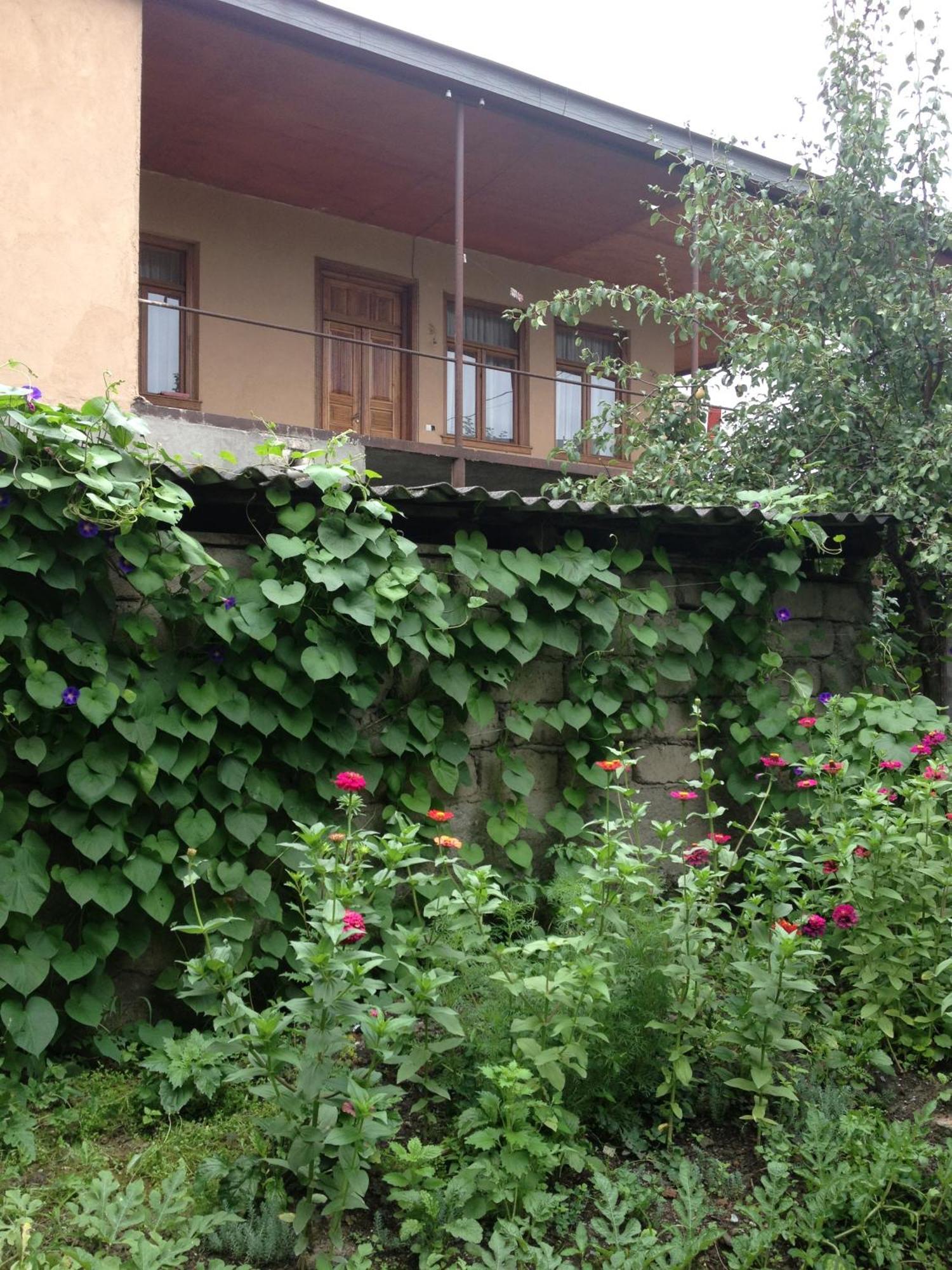 Guesthouse "Kistauri" Телави Екстериор снимка